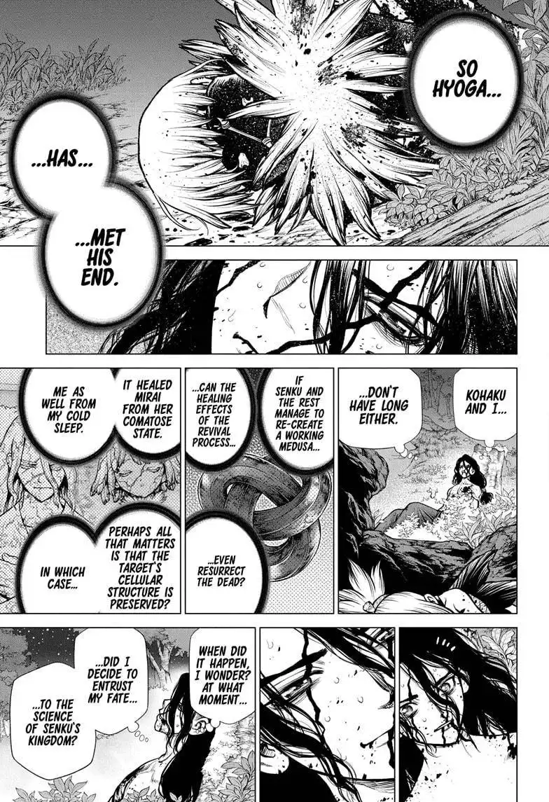 Dr. Stone Chapter 188 14